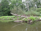 IMG 4471
